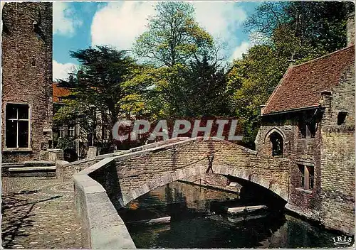 Cartes postales moderne Brugge derriere gruuthuuse