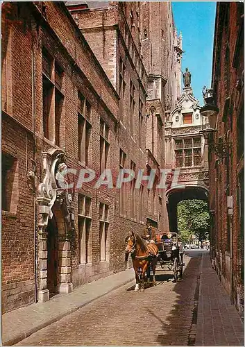 Cartes postales moderne Brugge rue de l'ane aveugle avec le pont des soupirs