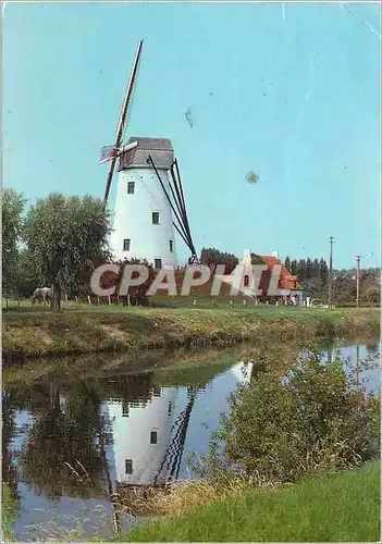 Cartes postales moderne Brugge molen ven damme Moulin a vent