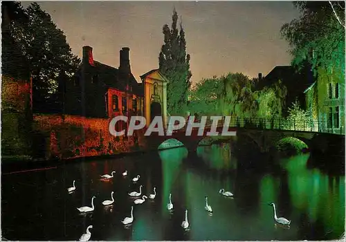 Cartes postales moderne Brugge beguinage la nuit Cygnes