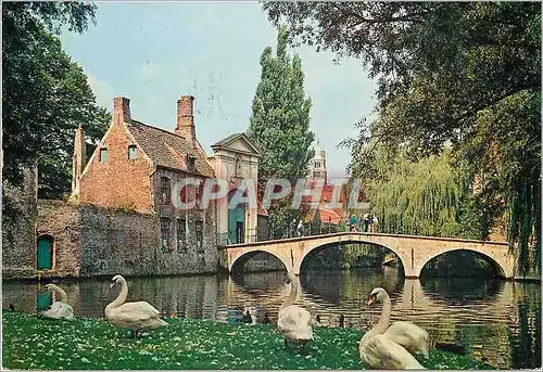 Cartes postales moderne Brugge l'entree du beguinage Cygnes