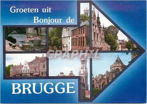 Cartes postales moderne Brugge bonjour