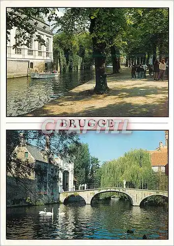 Cartes postales moderne Brugge bonjour