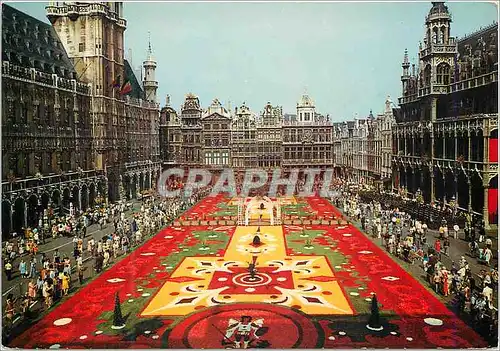 Moderne Karte Bruxelles grand place tapis de fleurs