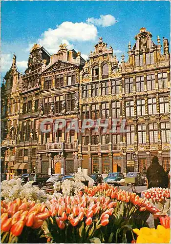 Moderne Karte Bruxelles un coin de la grand place