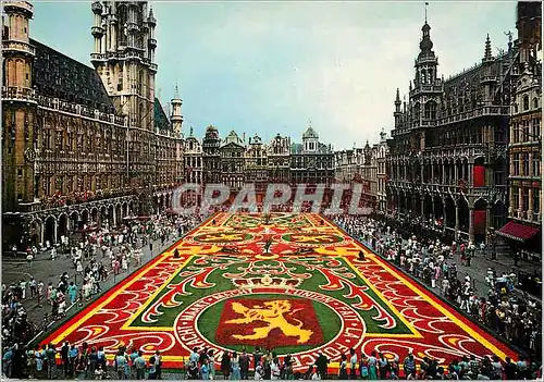 Moderne Karte Bruxelles grand place tapis de fleurs