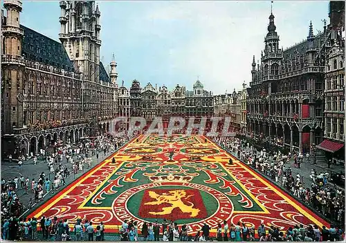 Moderne Karte Bruxelles grand place tapis de fleurs