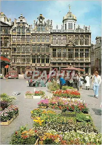 Cartes postales moderne Bruxelles grand place et marche aux fleurs