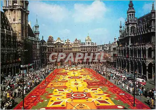 Cartes postales moderne Bruxelles grand place tapis des fleurs