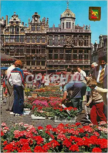 Cartes postales moderne Bruxelles grand place marche des fleurs
