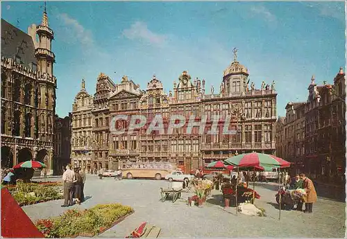 Cartes postales moderne Bruxelles grand place les maisons des corporations