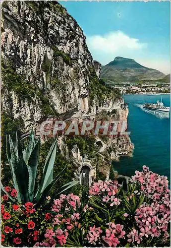 Cartes postales moderne Riva lago di garda Bateau