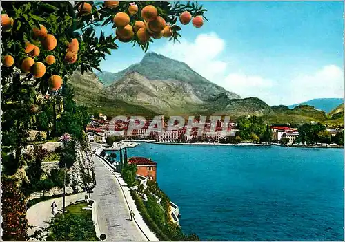 Cartes postales moderne Riva lago di garda