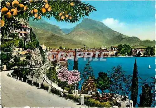 Cartes postales moderne Riva lago di garda