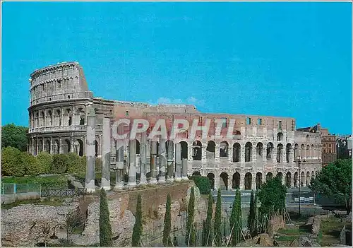 Cartes postales moderne Roma colesseum