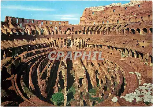 Cartes postales moderne Roma le colisee