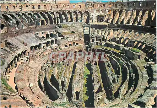 Moderne Karte Roma interieur du colisee (detail)