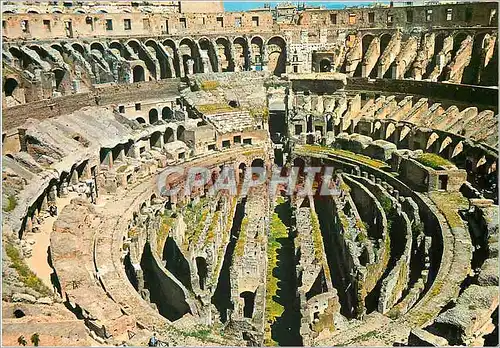 Cartes postales moderne Roma Interieur du Colisee