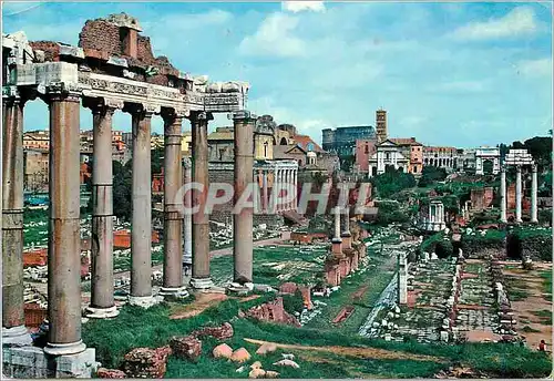 Cartes postales moderne Roma Le Forum Romain