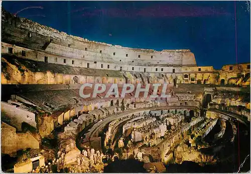 Cartes postales moderne Roma Le Colisee