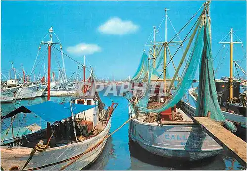 Cartes postales moderne S Benedetto del Tronto Le Port