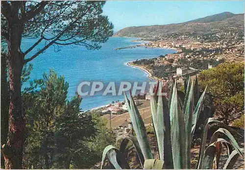 Cartes postales moderne San Remo Panorama pris d'Orient