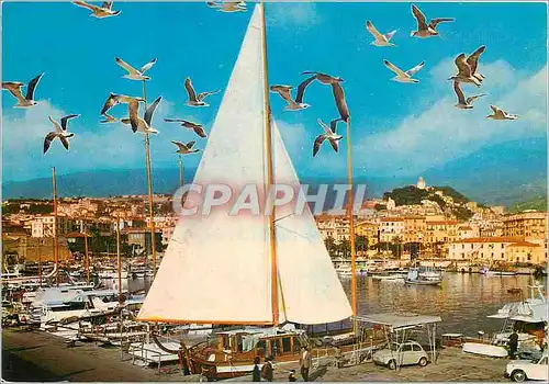 Cartes postales moderne San Remo Le Port