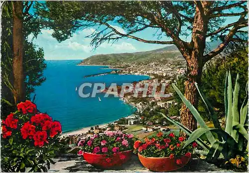 Cartes postales moderne San Remo Riviera dei Fiori
