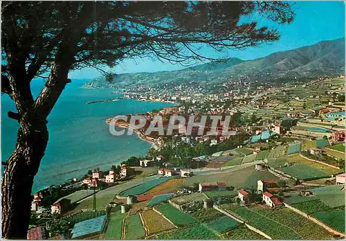 Cartes postales moderne San Remo Riviera dei Fiori Panorama vu de l'Est