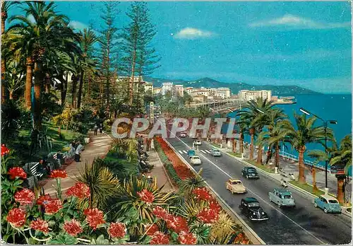 Cartes postales moderne San Remo Riviera dei fiori Promenade Imperatrice