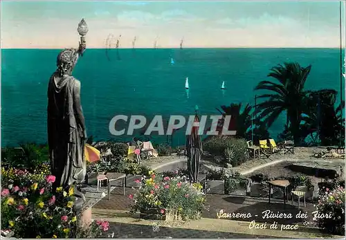Cartes postales moderne San Remo Riviera dei fiori Une oasis de Paix