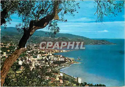 Cartes postales moderne San Remo Riviera dei fiori Cote des Fleurs Panorama de l'ouest