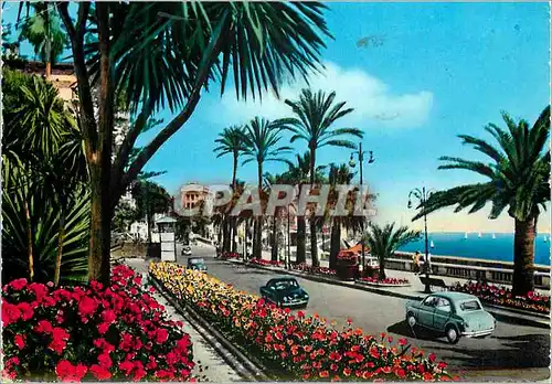 Cartes postales moderne San Remo Riviera dei fiori Avenue Imperatric