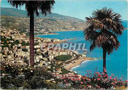 Cartes postales moderne San Remo Riviera dei fiori Panorama vu d'Occident
