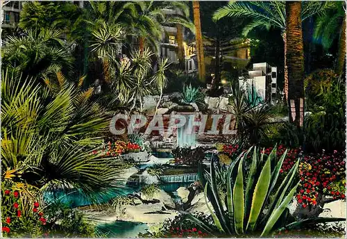 Cartes postales moderne San Remo Riviera dei fiori La bauté de sa nature