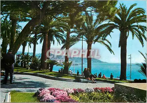 Cartes postales moderne San Remo Riviera dei fiori Corso Imperatrice