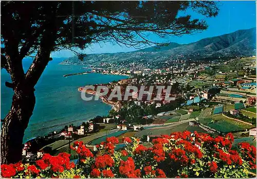 Cartes postales moderne San Remo Riviera dei fiori Panorama vu de l'Est