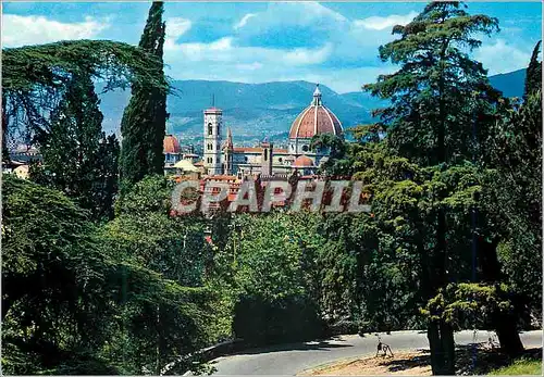 Cartes postales moderne Firenze Panorama