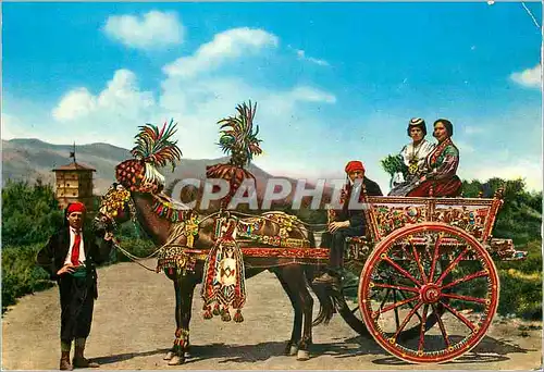 Cartes postales moderne Palermo Char Sicilien