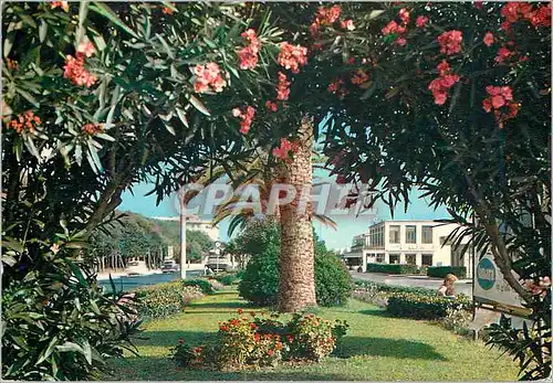 Cartes postales moderne Forte dei Marmi La Promenade