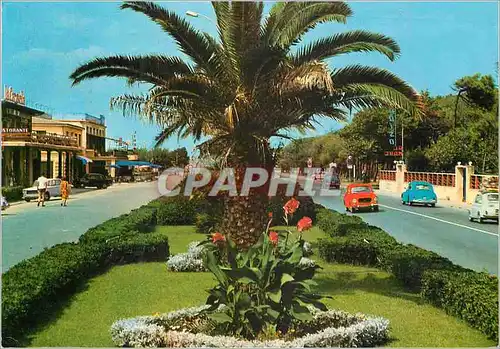 Cartes postales moderne Forte dei Marmi Avenues le long de la mer