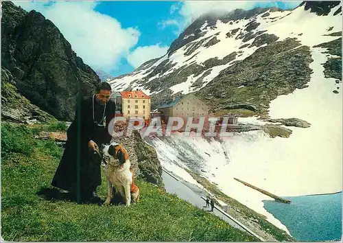 Cartes postales moderne Passage of the gr s bernardo m 2476 monk with his dog Chien