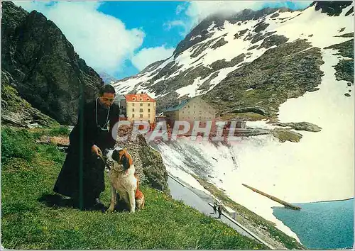 Moderne Karte Passage of the gr s bernardo m 2476 monk with his dog Chien