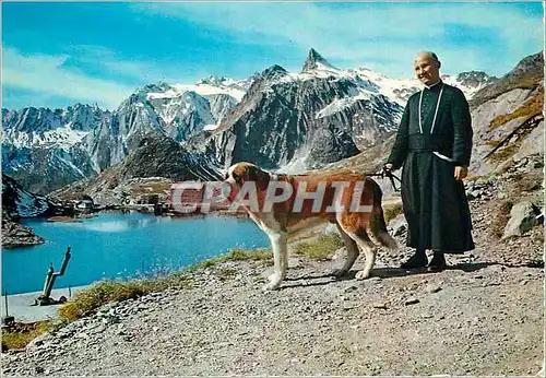 Moderne Karte Vallee d'aoste pittoresque pas du gd bernard m 2467 panorama vue du chenil Chien