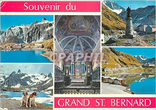 Moderne Karte Souvenir du grand st bernard