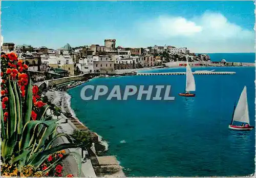 Cartes postales moderne Forto d'Ischia vue generale