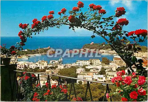 Cartes postales moderne Ischia porto d'Ischia