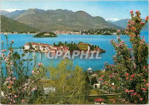 Cartes postales moderne Lago maggiore isola bella osola madre e verbania pallanza