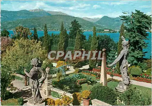 Cartes postales moderne Lac majeur isola bella les jardins