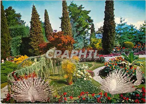 Cartes postales moderne Giardino isola bella (lago maggiore)